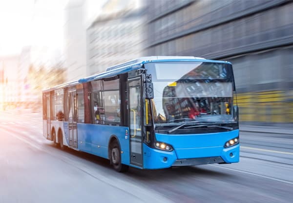 buses
